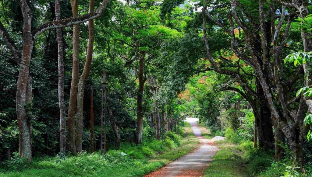 ONE DAY HANOI MOTORBIKE TOUR TO CUC PHUONG NATIONAL PARK