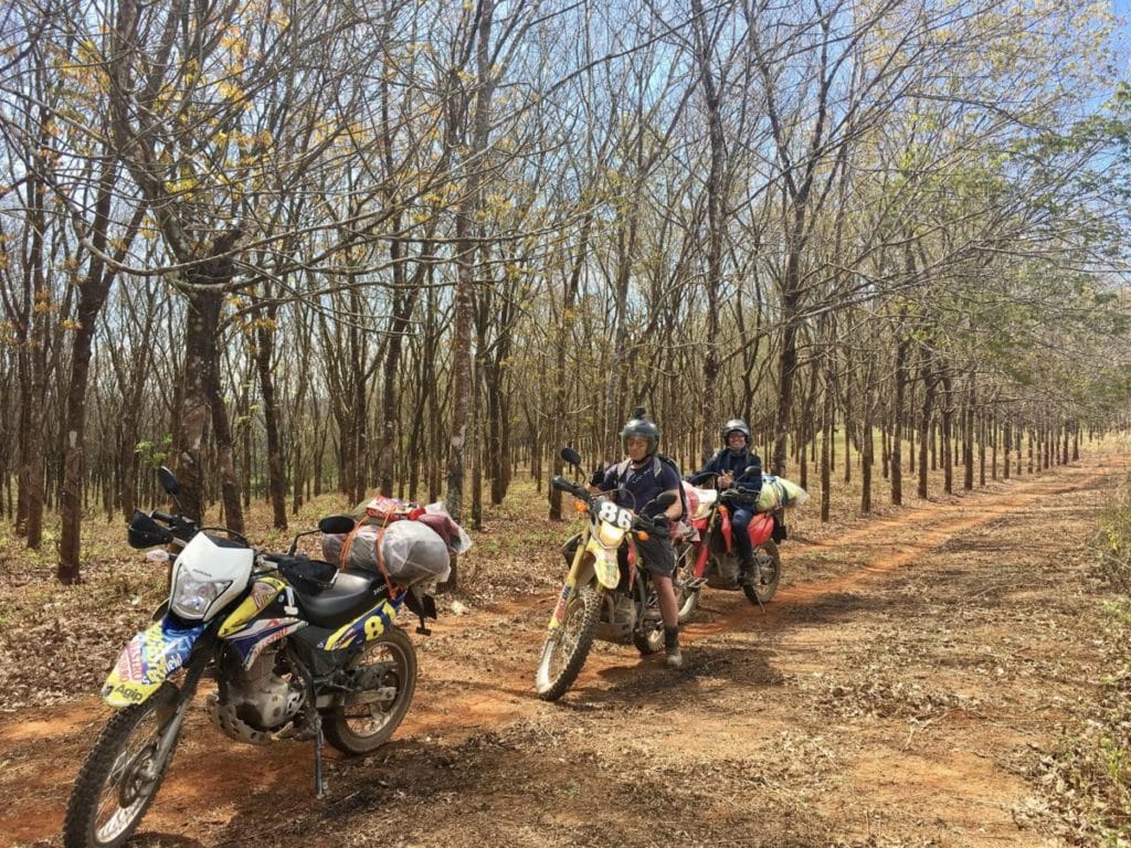 Vietnam Motorcycle Tour from Hanoi to Saigon on Ho Chi Minh Trail : Da Lat Motorbike Tours for Sightseeing