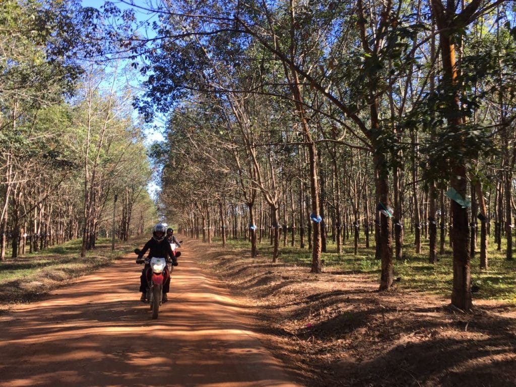 Saigon Motorbike Tour to Nha Trang via Mui Ne and Da Lat : Bao Loc motorcycle tour to Da Lat