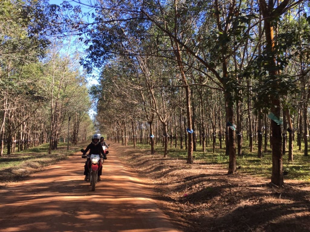 Hoi An Motorbike Tour to Saigon via Pleiku, Dalat, Kon Tum 2