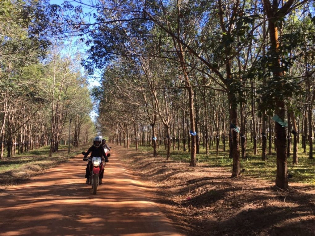 Saigon Motorbike Tour to Dalat, Nha Trang, Mui Ne and Vung Tau: HO CHI MINH CITY MOTORBIKING TOURS TO BAO LOC – LAM  DONG MOTORCYCLE TOURS TO DA LAT