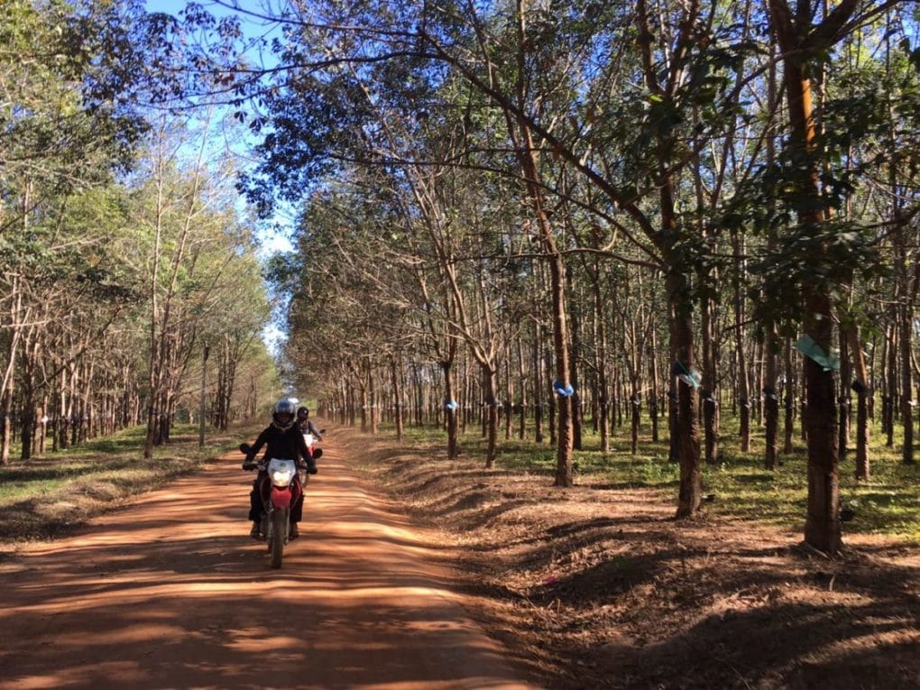 Saigon Motorbike Tour to Dalat, Nha Trang, Mui Ne and Vung Tau: HO CHI MINH CITY MOTORBIKING TOURS TO BAO LOC – LAM  DONG MOTORCYCLE TOURS TO DA LAT