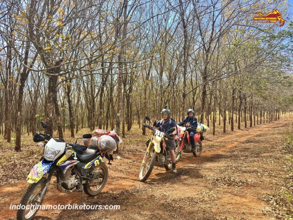 Lak Lake motorbike tour to Buon Me Thuot