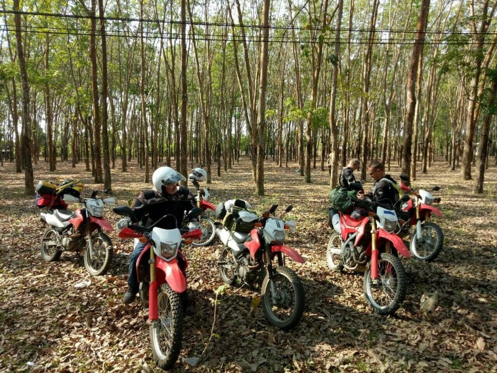 Saigon Motorbike Tour to Hue via Mui Ne, Da Lat, Pleiku, Hoi An