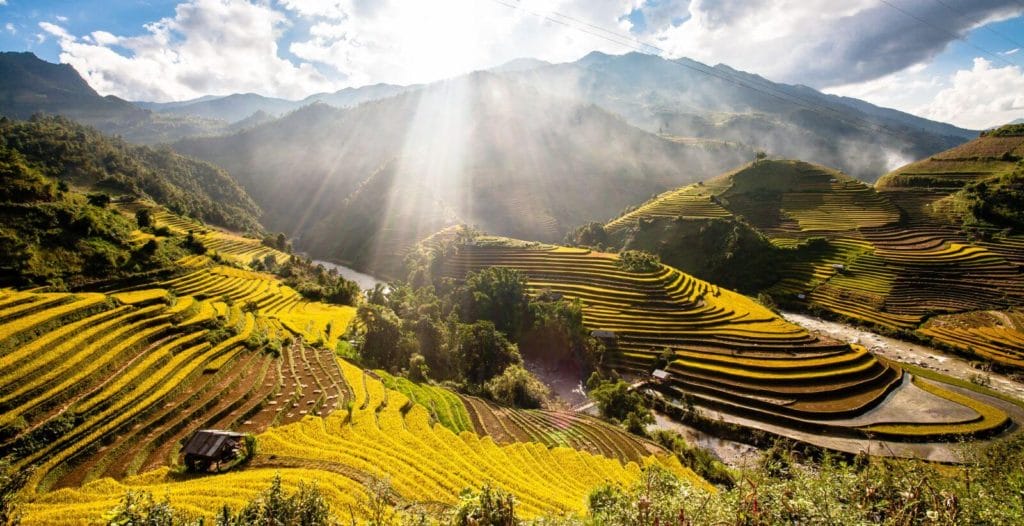 Rice Terraces in the North of Vietnam