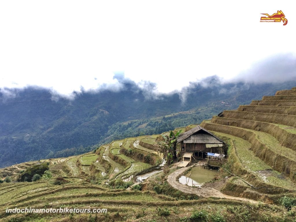 Sapa Motorbike Tour to Villages