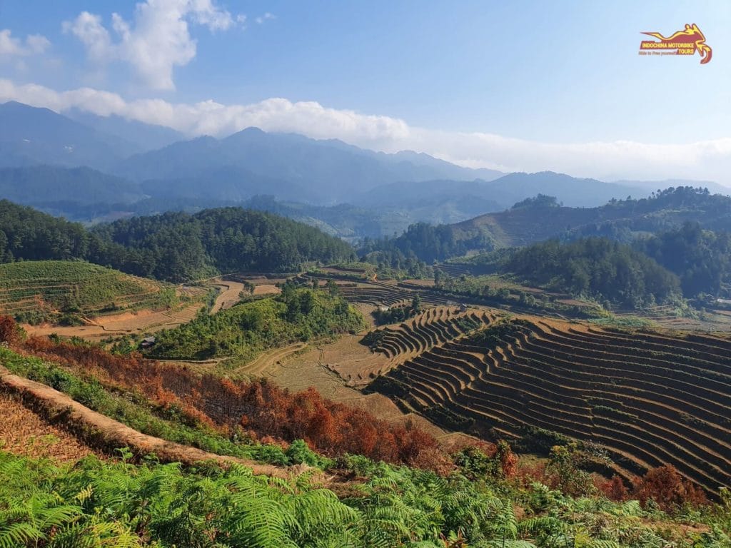 Mu Cang Chai