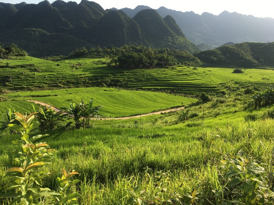 Hanoi Motorbike Tour to Pu Luong Nature Reserve