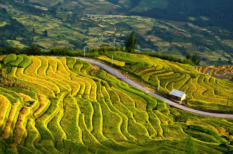 Y Ty - The clouds cover terraced rice fields