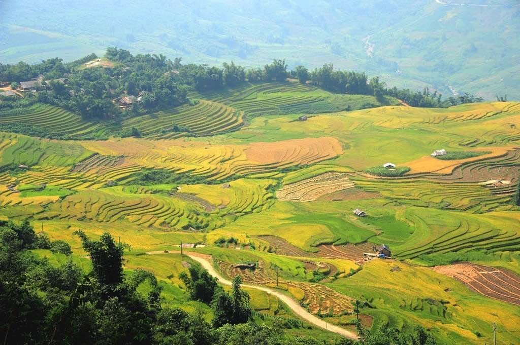 terraced rice fields Y Ty Northern Vietnam Motorbike Tour to Ta Xua , Mu Cang Chai, Y Ty, Sapa