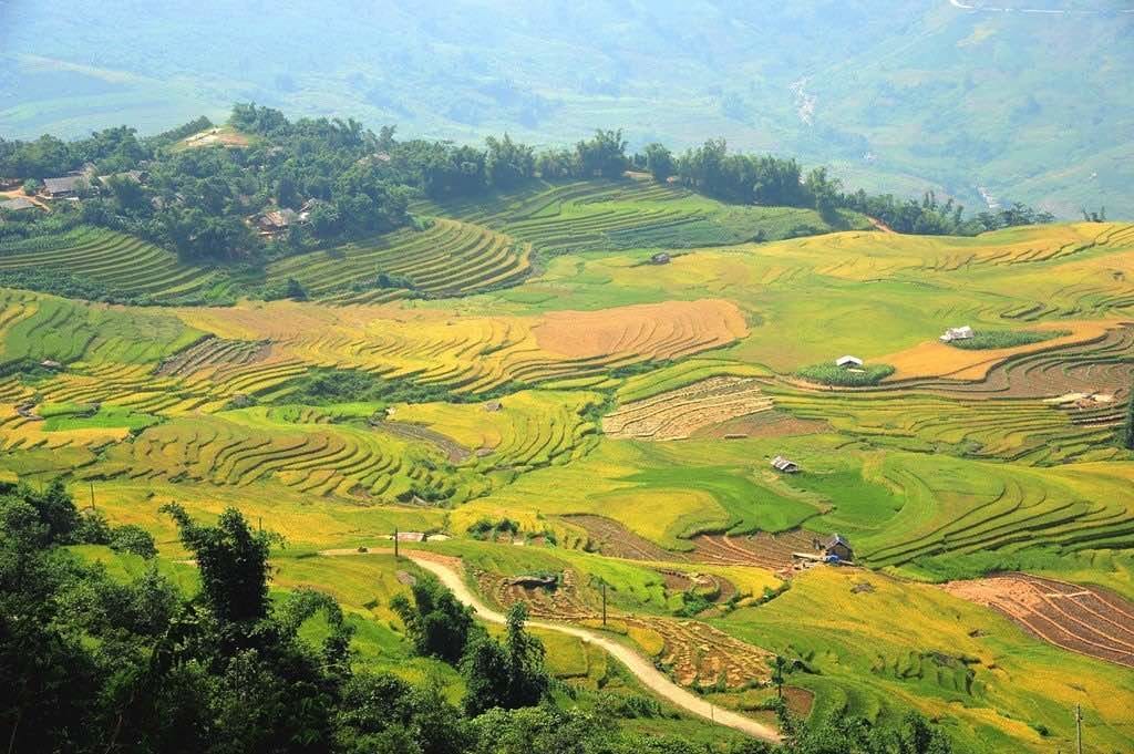 Northern Vietnam Motorbike Tour to Ta Xua , Mu Cang Chai, Y Ty, Sapa