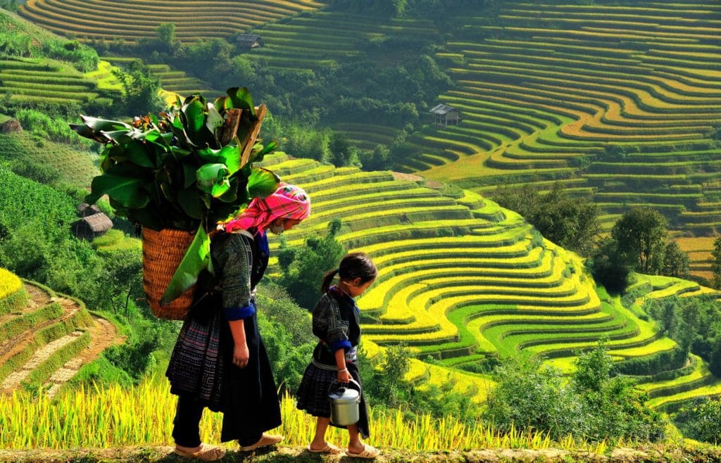 Sapa Motorbike Tour Plus Homestay to Villages from Hanoi by Overnight Bus