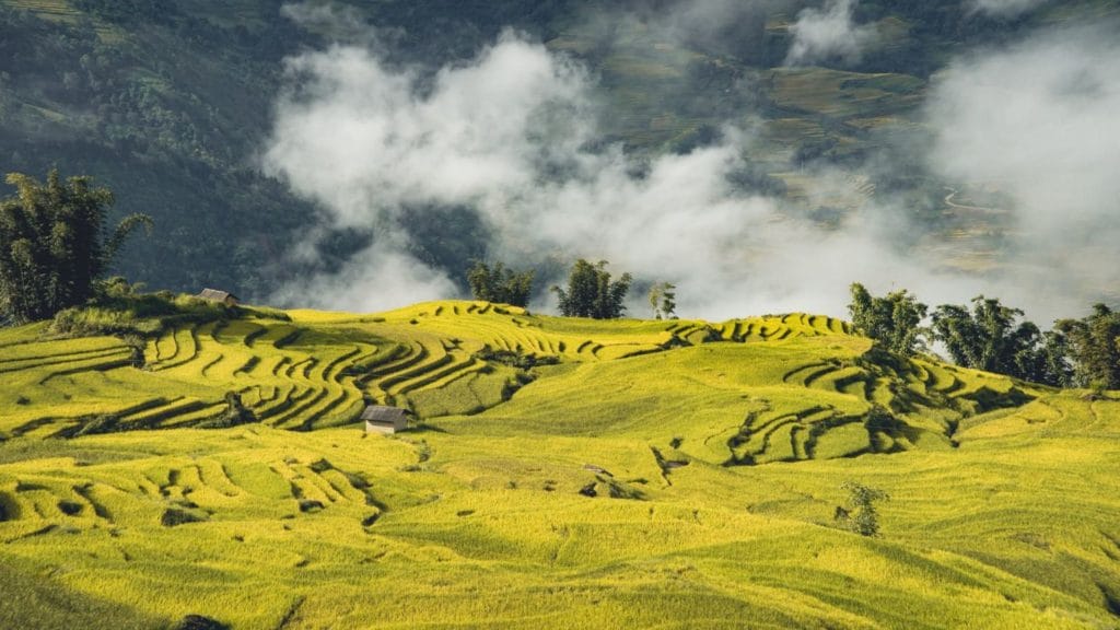 Best Time to Ride Motorbike to Sapa and Ha Giang of Vietnam