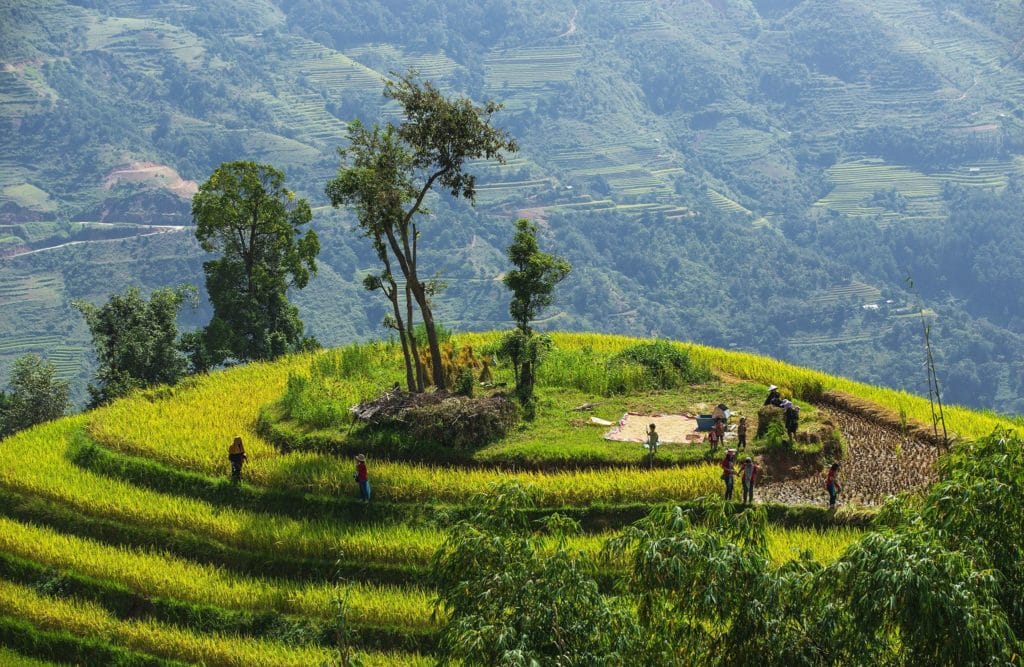 Ha Giang Motorbike Tour to Hoang Su Phi, Remote Villages