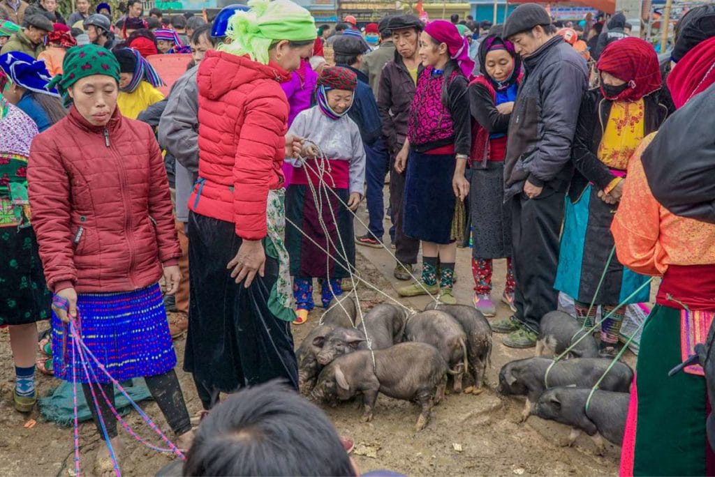 What To See While Riding Motorcycles in Ha Giang