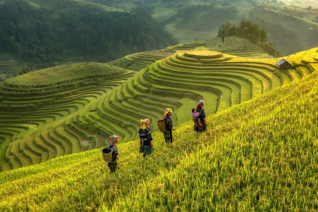 Best time to visit Hoang Su Phi in Ha Giang