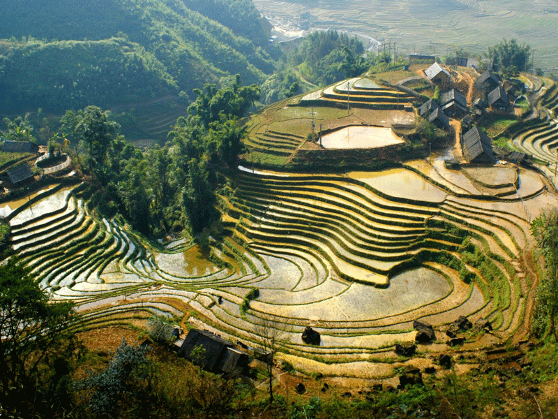 When is the Best Time To join a motorbike tour to Sapa?