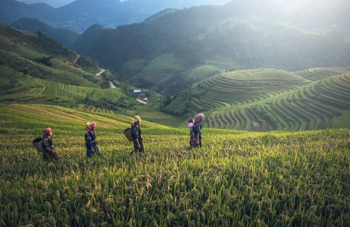 When is the Best Time To join a motorbike tour to Sapa?