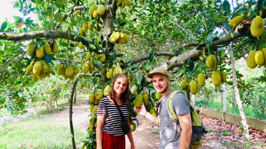 Top 10 Best Things You must do in Mekong Delta of Vietnam