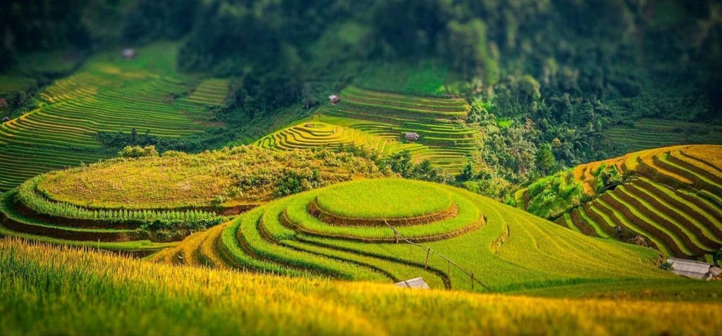 Top 10 Best Things To Do In Mu Cang Chai - Yen Bai