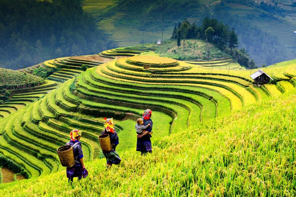 Sapa Motorbike Tour to Ha Giang via Hoang Su Phi, Ta Phin, Dong Van