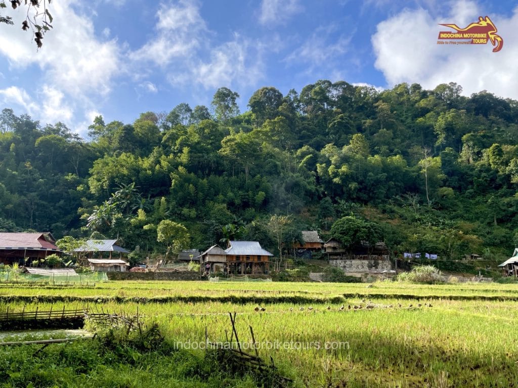 Hanoi Motorbike Tour to Da Bac of Hoa Binh & Pu Luong Nature Reserve