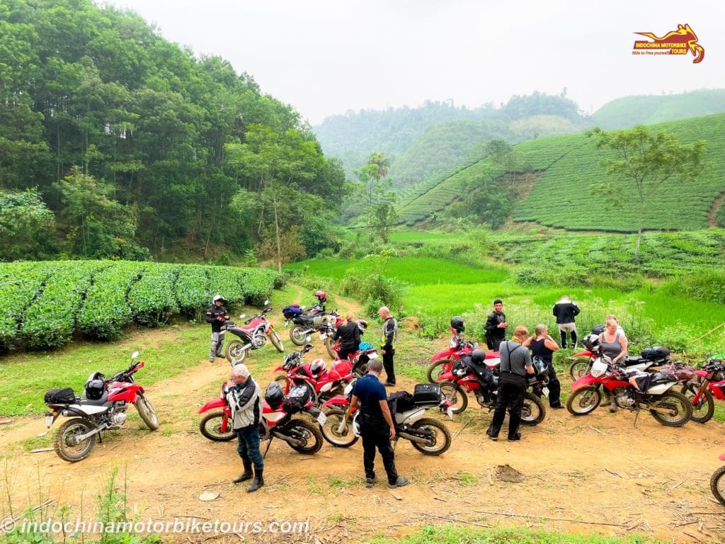 Hanoi Motorbike Tour via Long Coc Tea Plantation