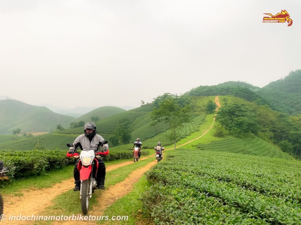 Hanoi Motorbike Tour via Long Coc Tea Plantation