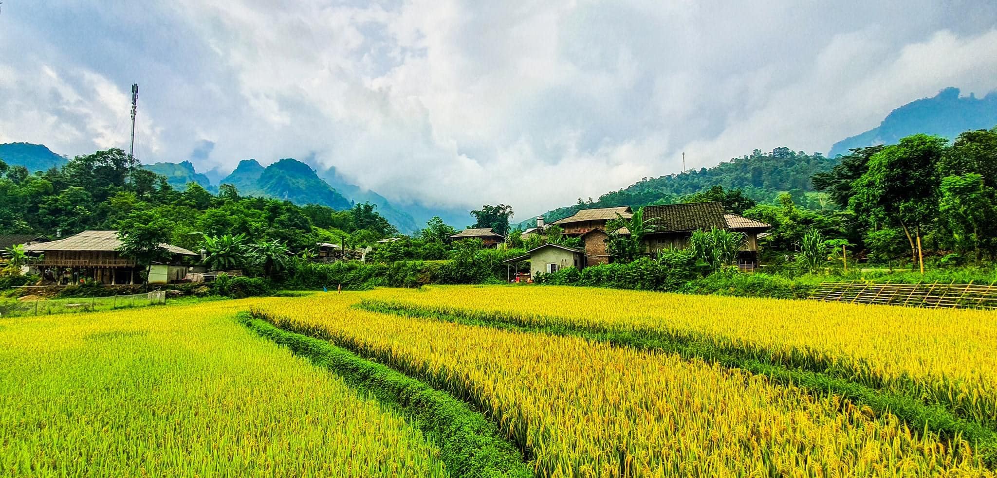 Ha Giang Motorbike Tour to Du Gia