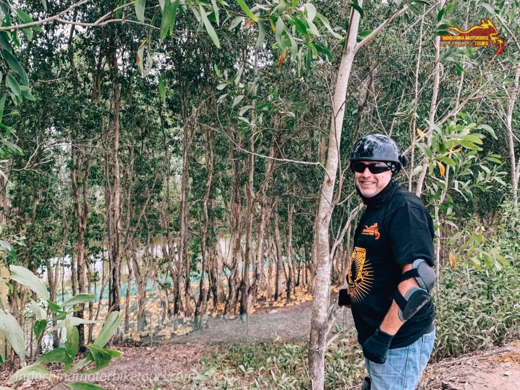 Best Time to Ride Motorbike Tours from Hanoi to Ho Chi Minh City on the Ho Chi Minh Trail and Along the Coast