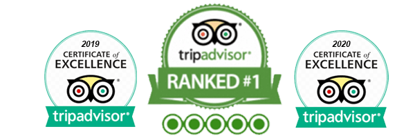 Tripadvisor Certificate