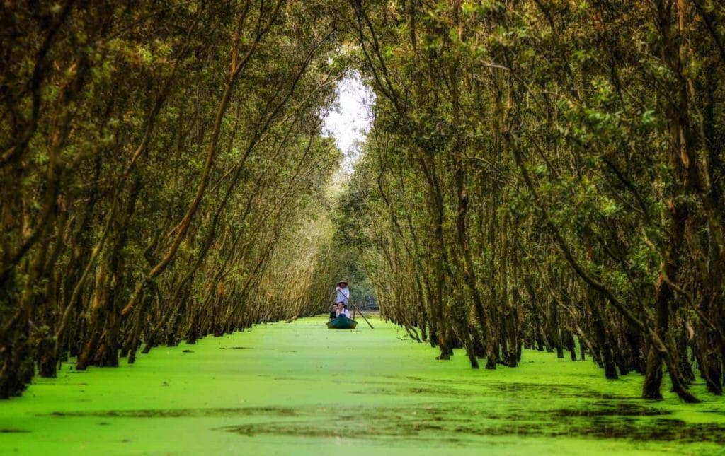 Best Highlights of Vietnam Motorbike Tour to Mekong Delta