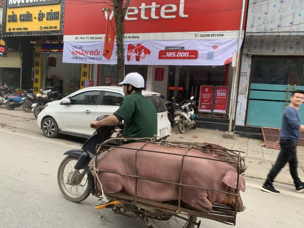 How to Ride Your Vietnam Motorbike Tour Safely?