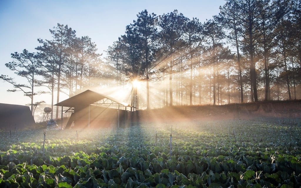 Best Time to ride a bike in Dalat?