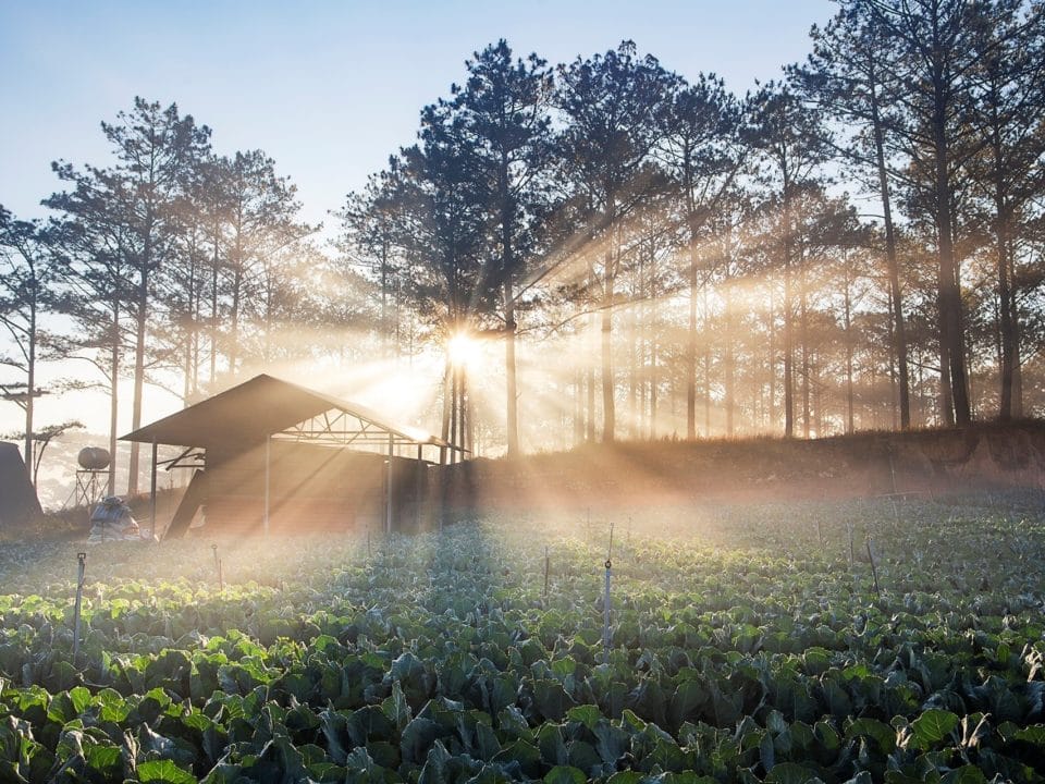 When is the best time to ride a bike in Dalat?