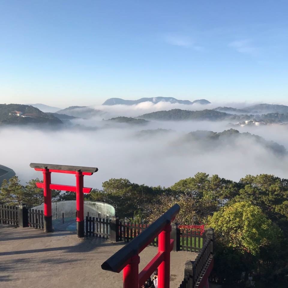 Top 8 Reasons Why You Should Choose Dalat fpr Your Motorbike Tour