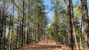 Top 6 Essential Travel Tips for Your Dalat Motorbike Tour