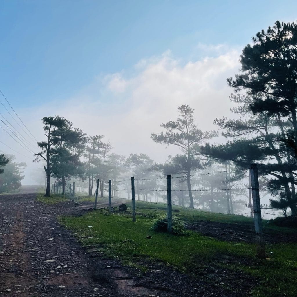 Best Time to ride a bike in Dalat?