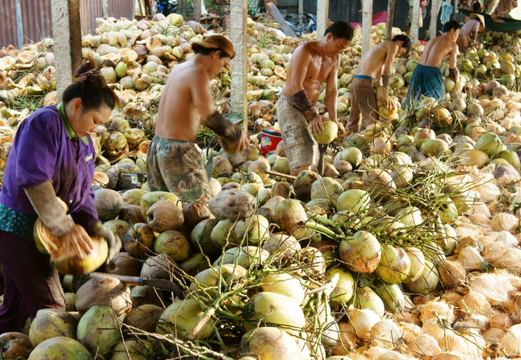 What To See In Mekong Delta When Riding Motorcycles?