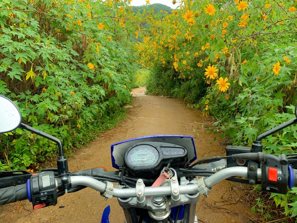 The Best Time to Ride Motorcycles from Da Lat to Nha Trang and Mui Ne