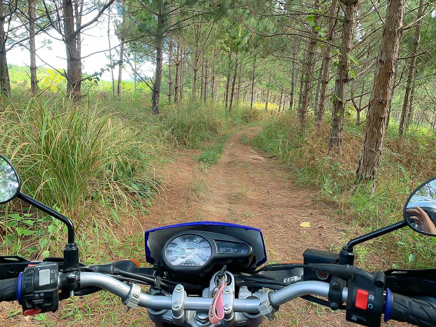 Motorbike Tours in Phnom Penh