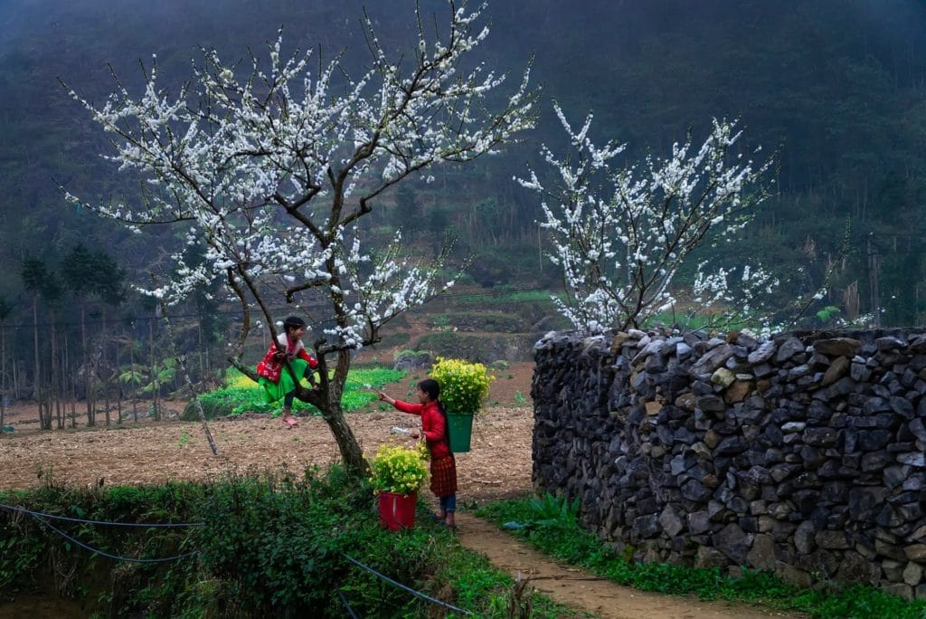 Best Time to Ride Motorcycles to Dong Van, Meo Vac, Du Gia, Yen Minh from Ha Giang