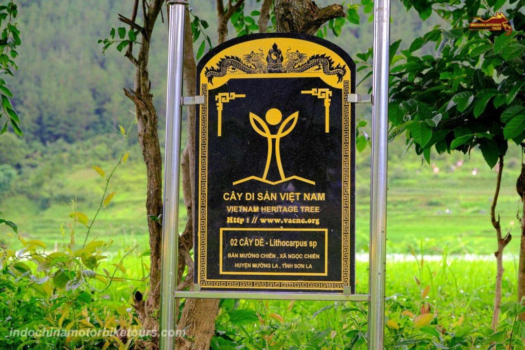 Why Riding Motorcycles from Mu Cang Chai to Ngoc Chien in Muong La District, Son La Province