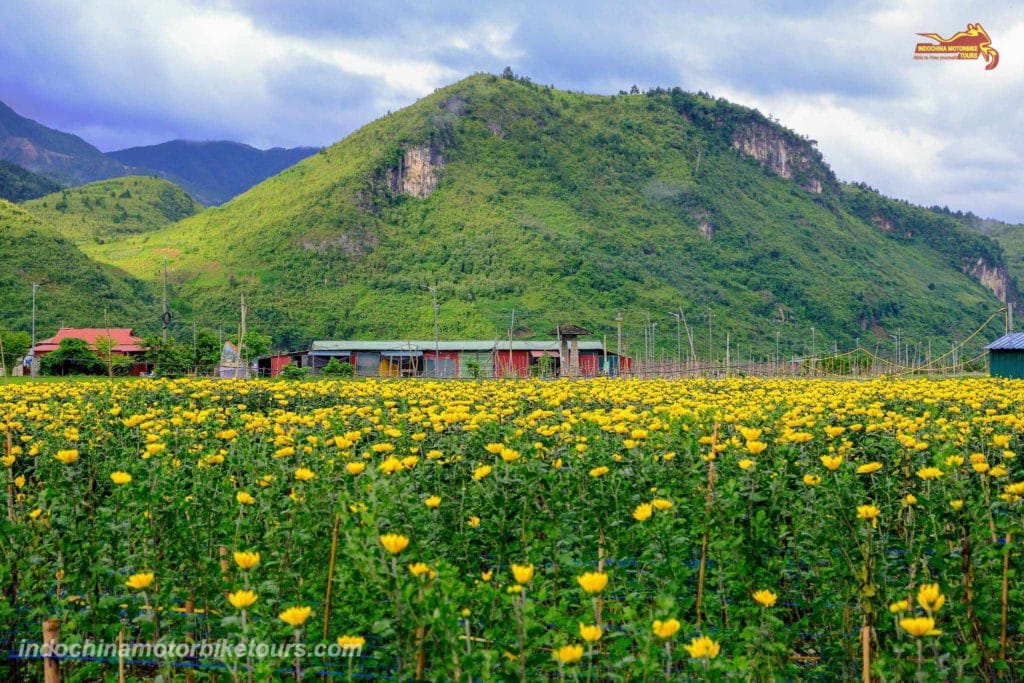 Best Time to Visit Ngoc Chien in Muong La District, Son La Province