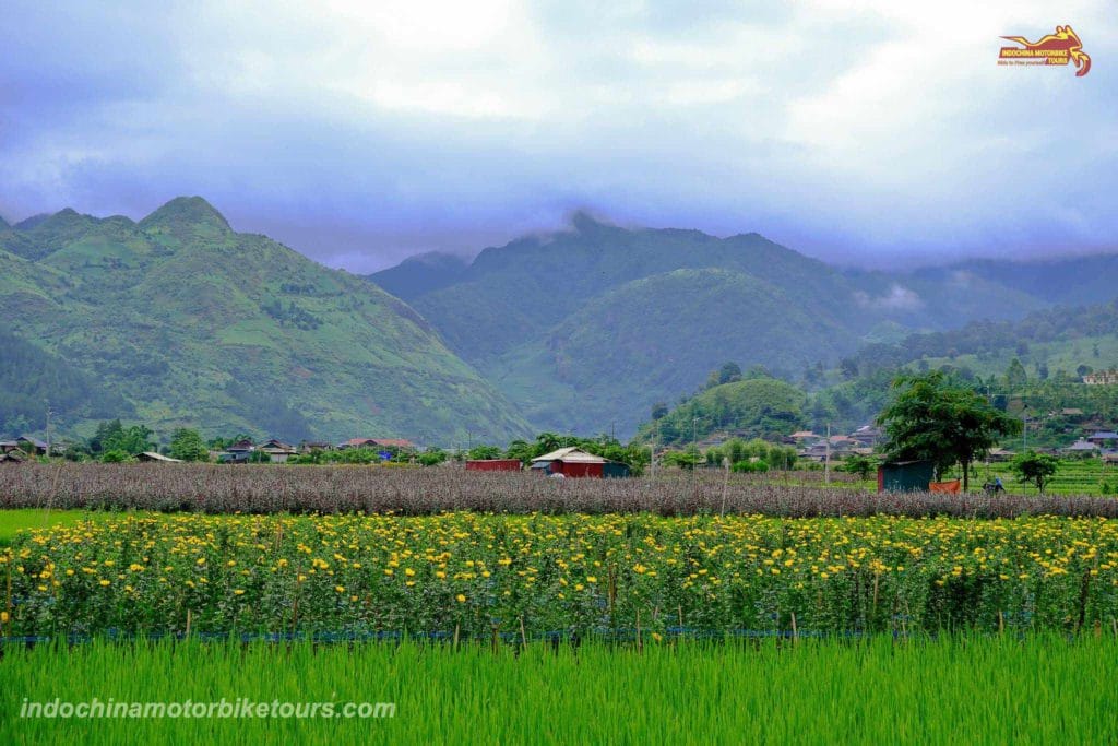 Why Riding Motorcycles from Mu Cang Chai to Ngoc Chien in Muong La District, Son La Province