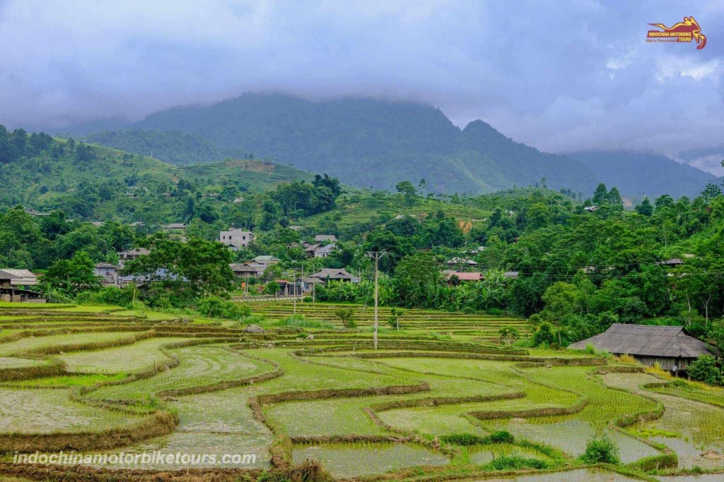 Best Ever Northwest Vietnam Motorbike Tour via Ta Xua, Ngoc Chien, Sin Ho, Sapa