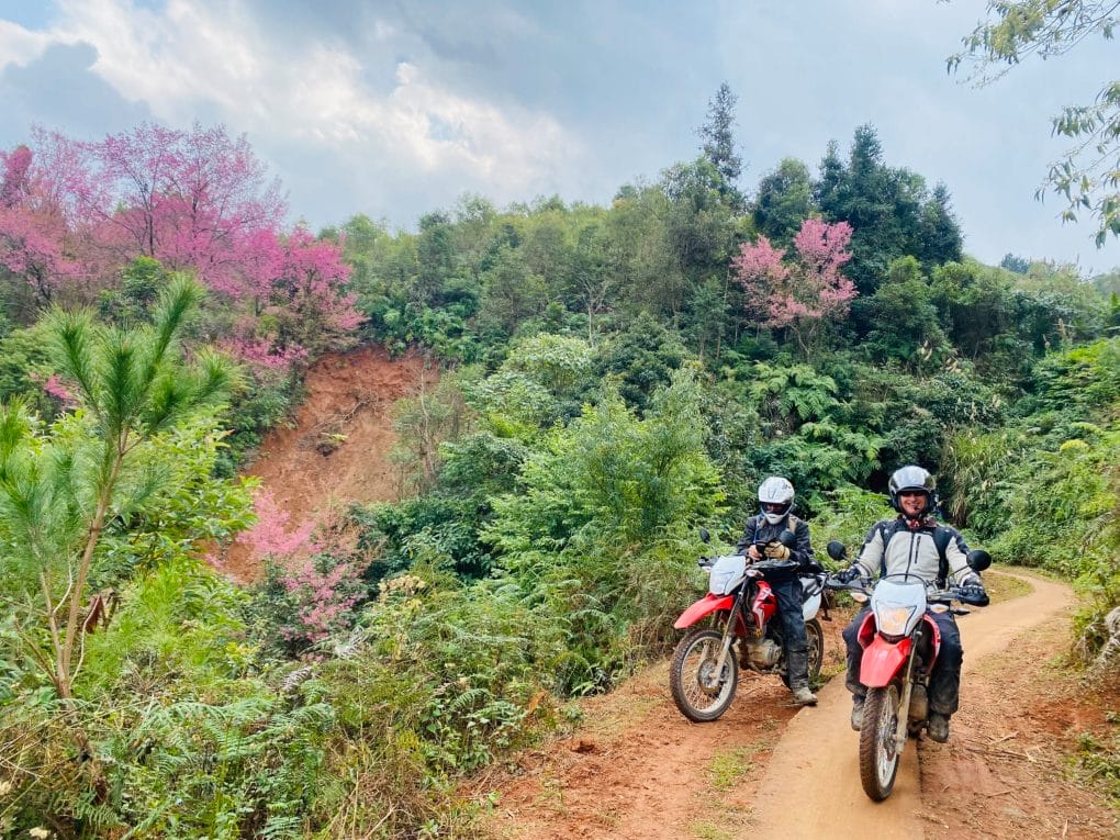 Emcompasing North Vietnam Motorbike Tour from West to East – 14 Days