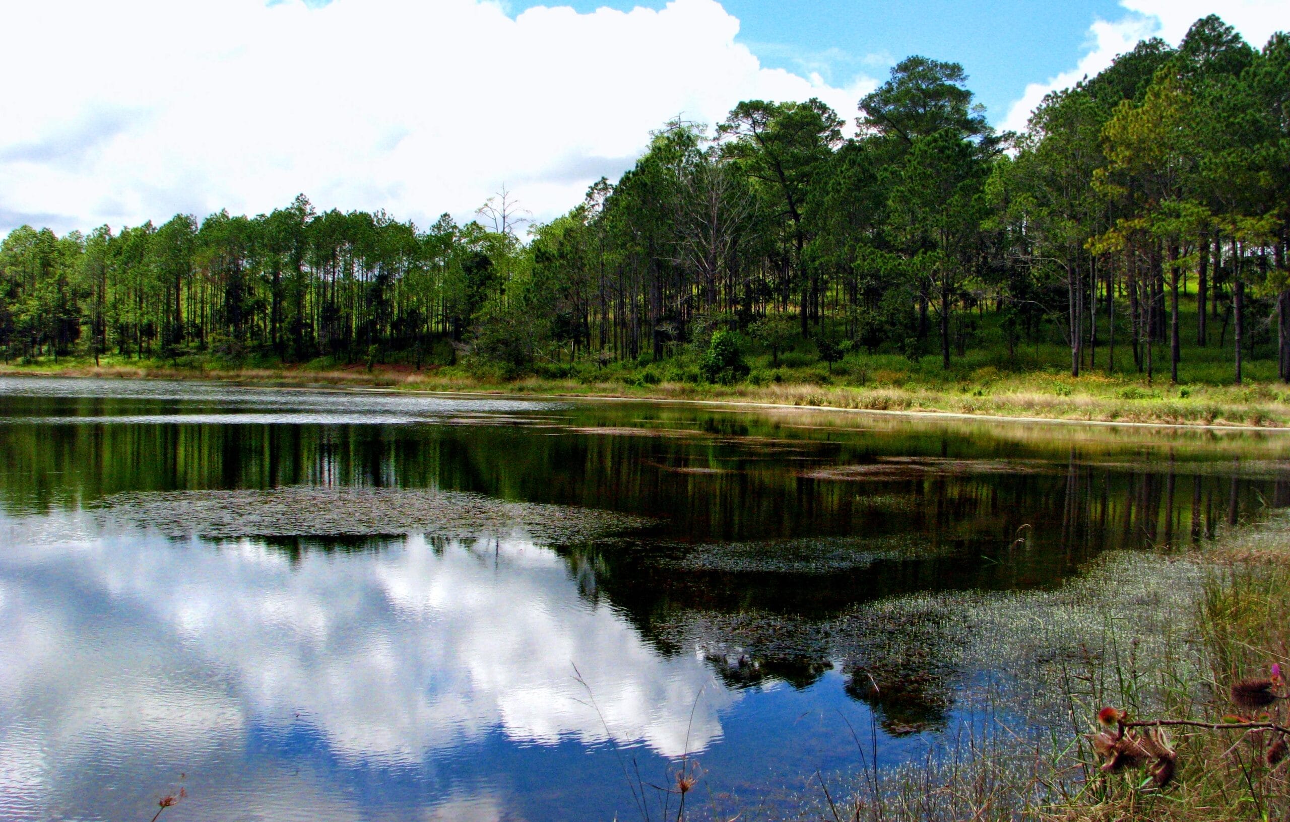 siem-reap-to-phnom-penh-offroad-motorcycle-tour-to-koh-ker-preah-vihear-kirirom-national-park