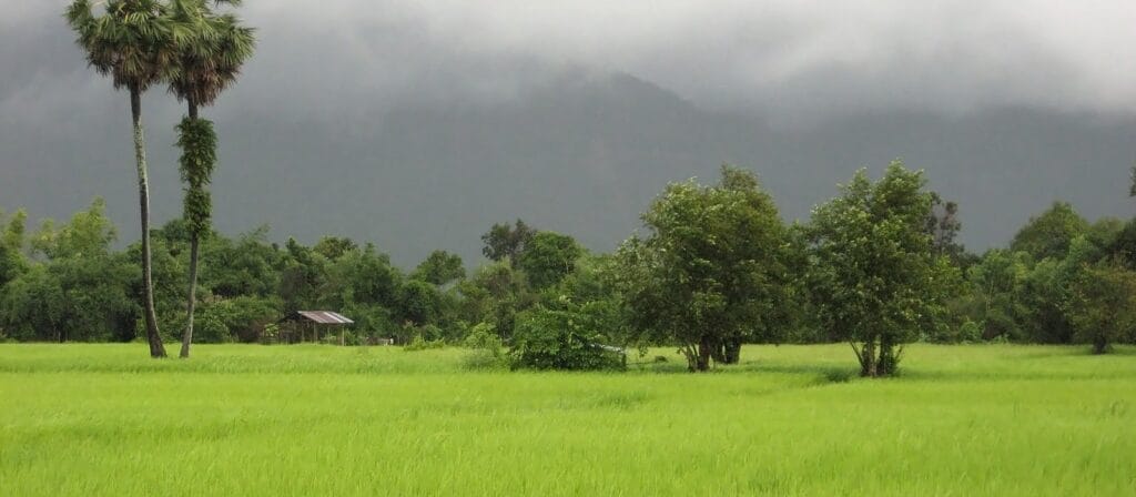 Pakse Motorbike Tour to Tad Lo, Attapeu, Xe Pian, Champasak, Don Khong